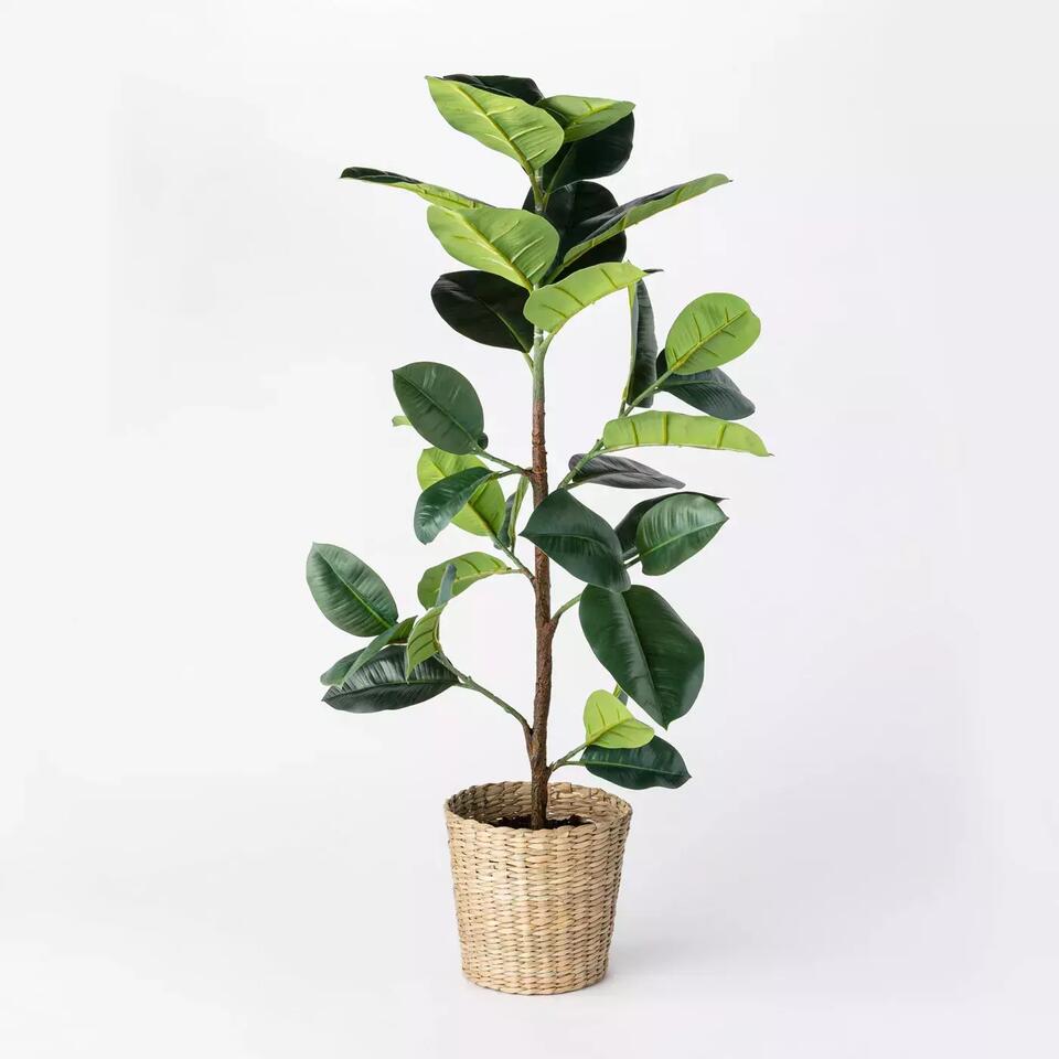 Faux Rubber Leaf Tree in Woven Pot