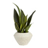 Faux Snake Plant In Speckled Pot