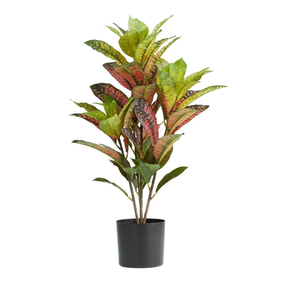 Faux Croton Plant