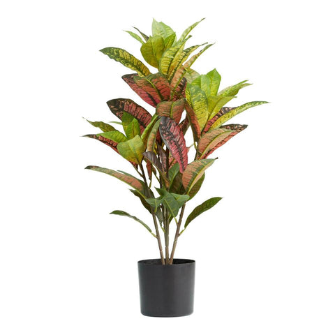 Faux Croton Plant