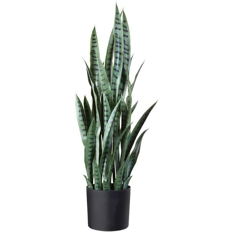 Faux Snake Plant