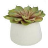 Faux Echeveria In Cement Pot