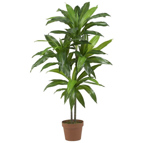 Faux Dracaena Plant