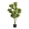 Faux Zebra Plant