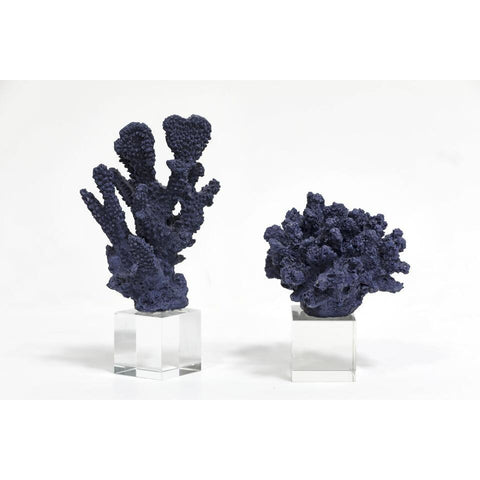 Blue Coral