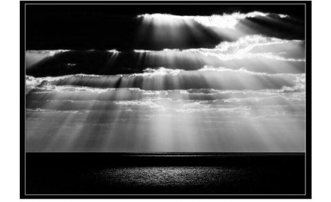 "Spot" Framed Photography