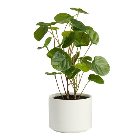 Faux Money Tree