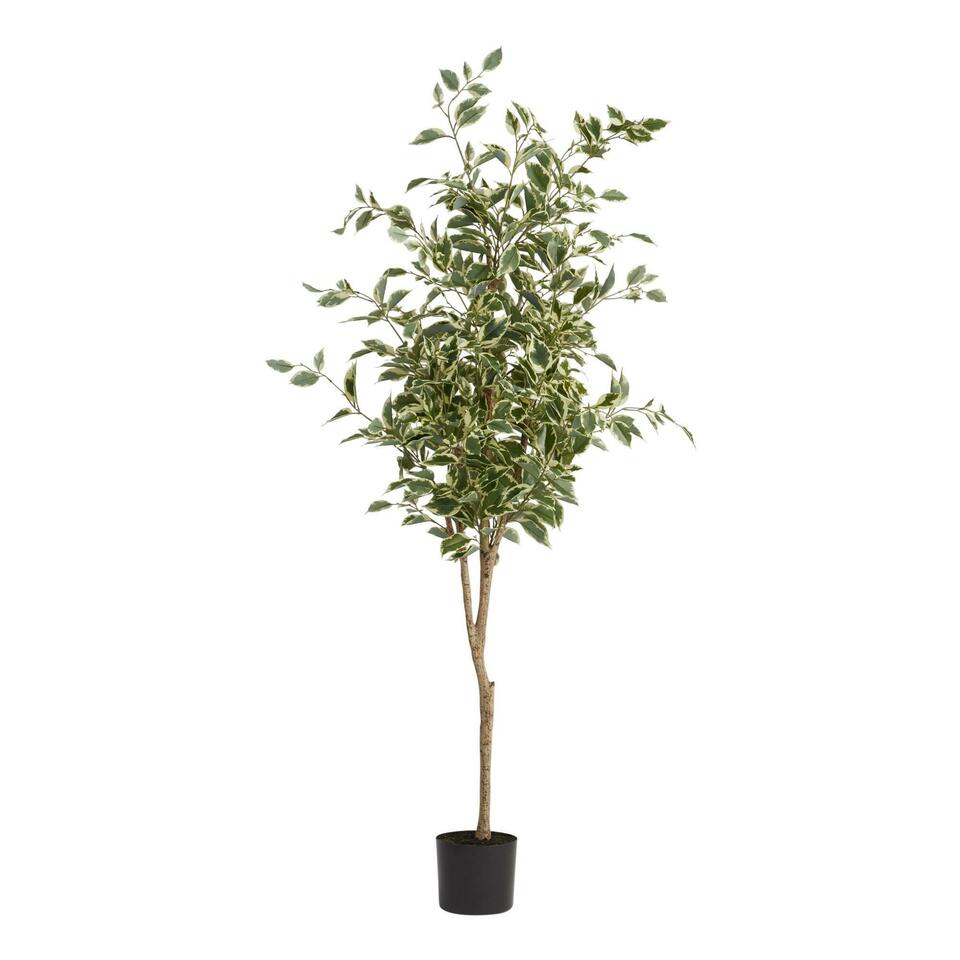 Faux Ficus Tree