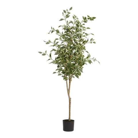 Faux Ficus Tree