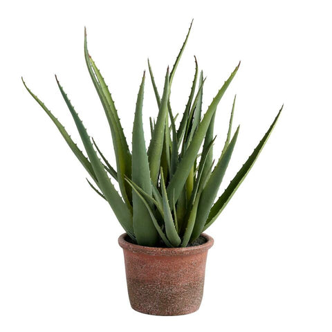 Faux Aloe Plant