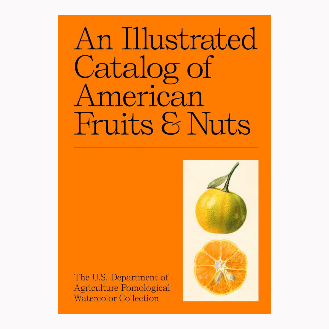 An Illustrated Catalog of American Fruits & Nuts | Hardcover Book
