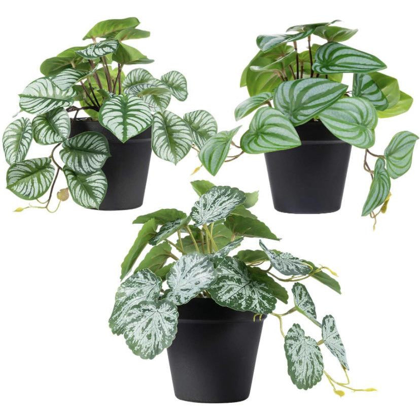 Faux Hanging Plants