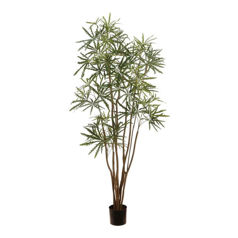 Faux Aralia Tree