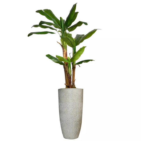 Faux Banana Plant