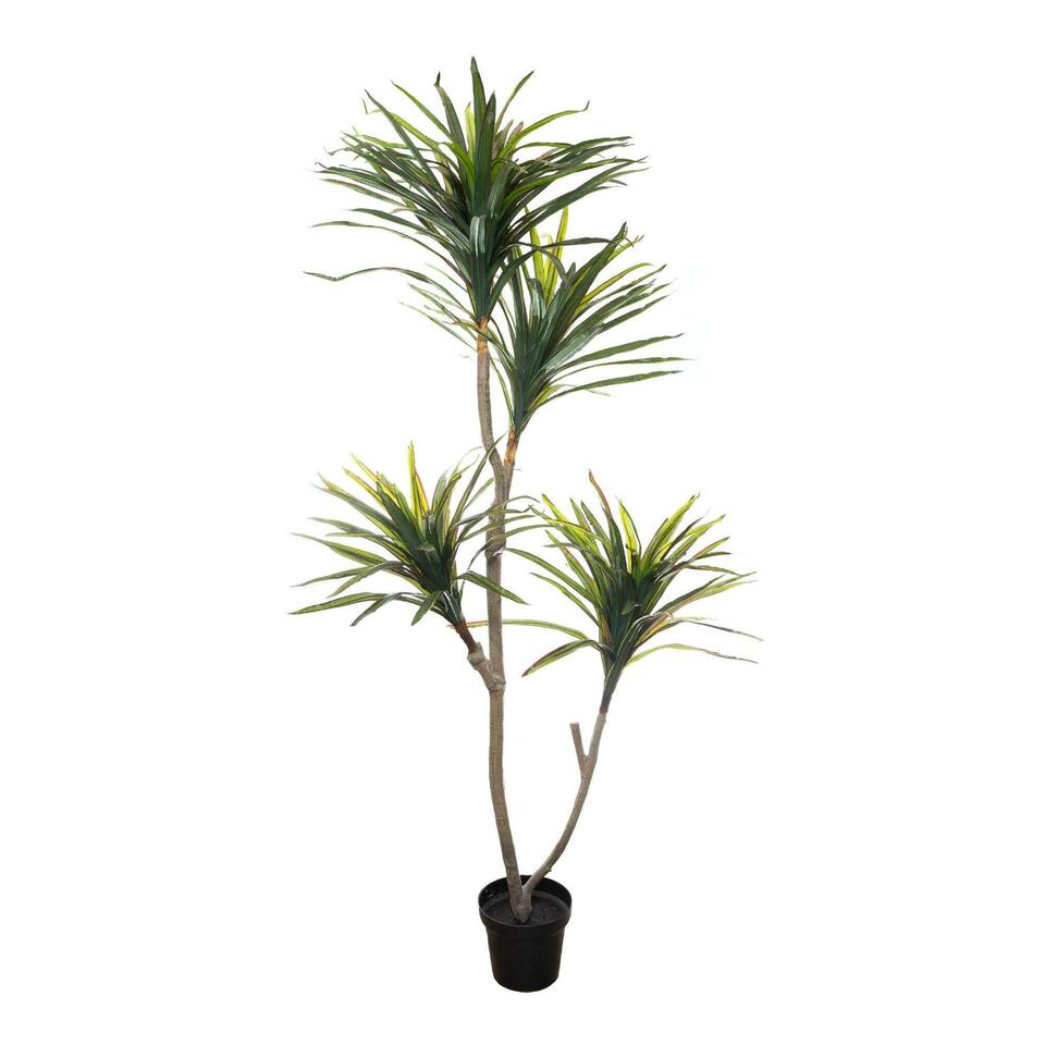 Faux Yucca Plant 6'