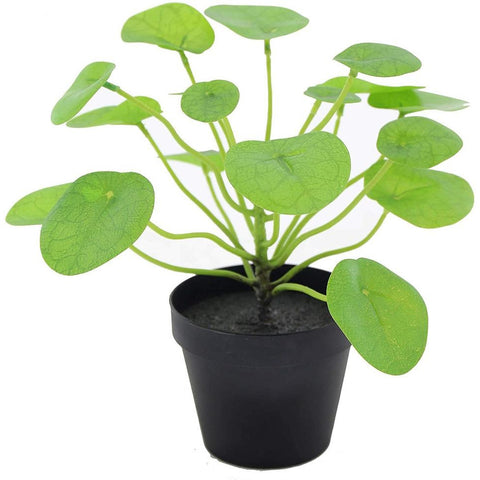 Faux Pilea Plant