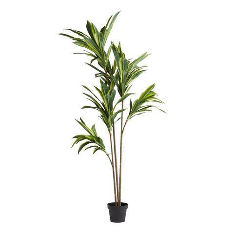 Faux Variegated Dracaena Tree