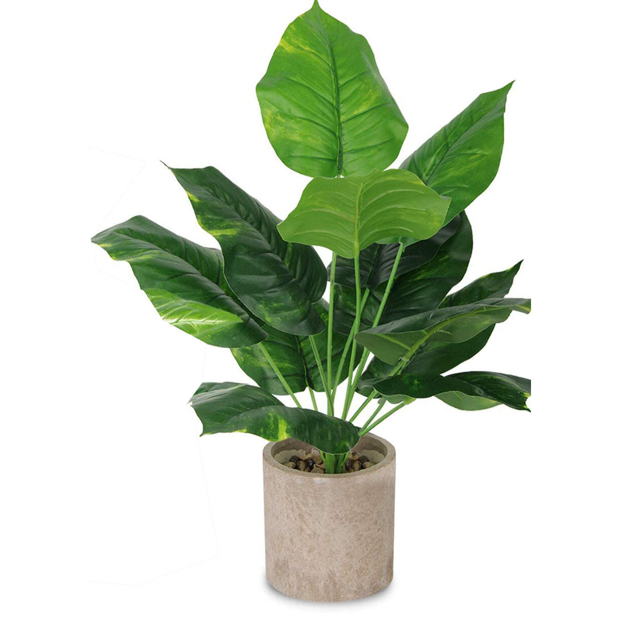 Faux Plant