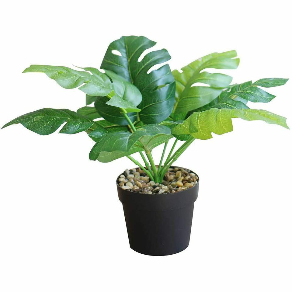 Faux Monstera