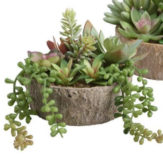 Faux Succulent In A Log
