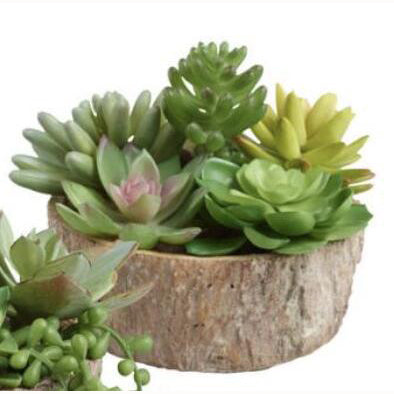 Faux Succulent In A Log